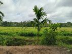 500 Perch Land with Clear Deeds for Sale in Athurugiriya