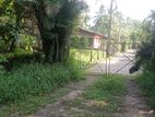 500P Land for Sale in Horana