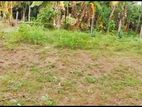 50.14P of Land with House for Sale in Walpola near Ragama (SL 14098)