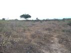 503 ACHERS LAND FOR SALE BATTICALOA AREA