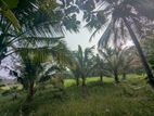 50P Land for Sale Wariyapola, Gonagama, Rekawa