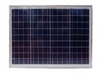 50W Solar Panel