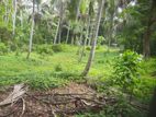 51 P Land for Sale in Henegama