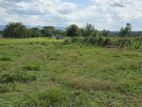 51  Perch Land for Sale in Malabe SLLL-A3