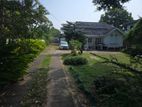 51 Perch Land for Sale in Mount Lavinia (LA4904)