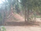 51.00 perch land for sale in hakmana