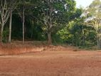 510p Agricultural Land for sale in Mirahawatte, Bandarawela | SL14212
