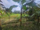 52 Perch Land for Sale, Warakapola Town