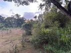 52 Perches Land For Sale In Hettipola Kuliyapitiya Main Road