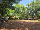 52 Perches Prime Land in Nedimala Dehiwala FOR SALE