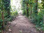 52 Perches Residential Land for Sale in Dodangoda