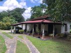 52 perches with old house for sale in Niwandama, Ja-Ela (C7-10343)