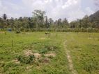 522.5P Land for Sale in Minhetiya, Baddegama, Kurunegala (SL 14614)