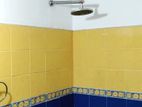 5.25P 3 Storied Unit House for Sale in Wellawatte