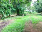 53 P Land for Sale in Ruskin Island Moratuwa