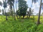 53 Perch Land for Sale Parakrama Samudraya, Polonnaruwa
