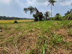 53.5 P Paddy Fields Facing Bare Land for Sale - Udawatta