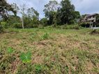 53.5 P Paddy Fields Facing Bare Land for Sale Udawatta