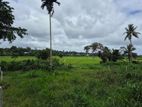 53.5 Perches Residential Paddy Field Facing Land Udawatta