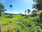 53.50P Paddy Field Facing Bare Land For Sale In Malabe