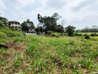 53.50P Paddy Field Facing Land For Sale In Malabe