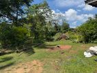 54 PERCHES SUPERB LAND FOR SALE IN SUWARAPOLA PILIYANDALA