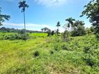 54P Paddy Field Facing Bare Land For Sale In Malabe