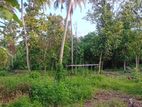 5.5 Acres Coconut Jack Fruit Teak Land for Sale in Weerambugedara