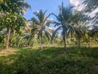 5.5 Acres Coconut Land with Paddy Field for Sale – Padeniya, Wariyapola