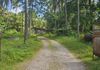 5.5 Acres Near Nawagamuwa Junction/long Road Frontage for Long Lease - Ansicht 3
