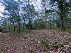 55 P Land for Sale Wariyapola, Mahakeliya Amararathna Mawatha