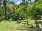 55 Perch Prime Land for Sale in Kahathuduwa - Polgasowita