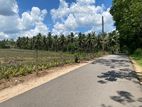 550 Perches Superb Commercial / Residential Land for Sale, at Padukka