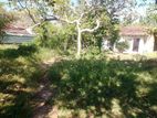 House for Sale Ampara