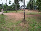 56 Perches Land for Sale in Veyangoda City.