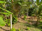 56 Perches Prime Land for Sale Sandalankawa