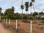 57 Perches Land for Sale Nainamadama Wennappuwa