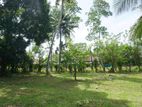 57 Perches Land for Sale Off vijaya kumaratunga mawatha,Colombo 5.