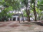 5735 SQFT Scenic House for Rent at Rajagiriya (LC 1636)