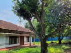 House with 5.75 Perch Land for Sale in Vaddukkodai (Main Road Close)