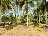 58 P LAND AT 200 M Galle Road Wadduwa Kaluthara