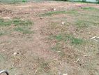 58 Perch Land for Sale in Thibirigaskatuwa