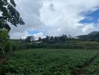 58 perches Land for sale in NuwaraEliya - Blackpool-Ambewela Road