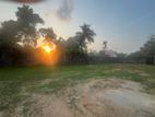 59 Perch Prime Land For Sale – Kiribathgoda (LA-GAMKG-208)