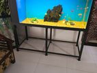 5 Feet Fish Tank
