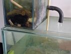 5ft fish tank