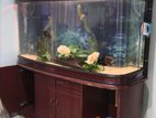 5ft Fish Tank