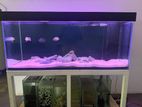 5 Ft Rimless Fish Tank Full Set