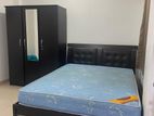 5th Floor Fully Furnished 3BR Luxury Apartment Rent in Wellawatta
