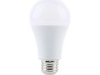 5W DC Bulb